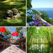 Những địa điểm nhất định phải đến vào mùa mưa Nhật Bản